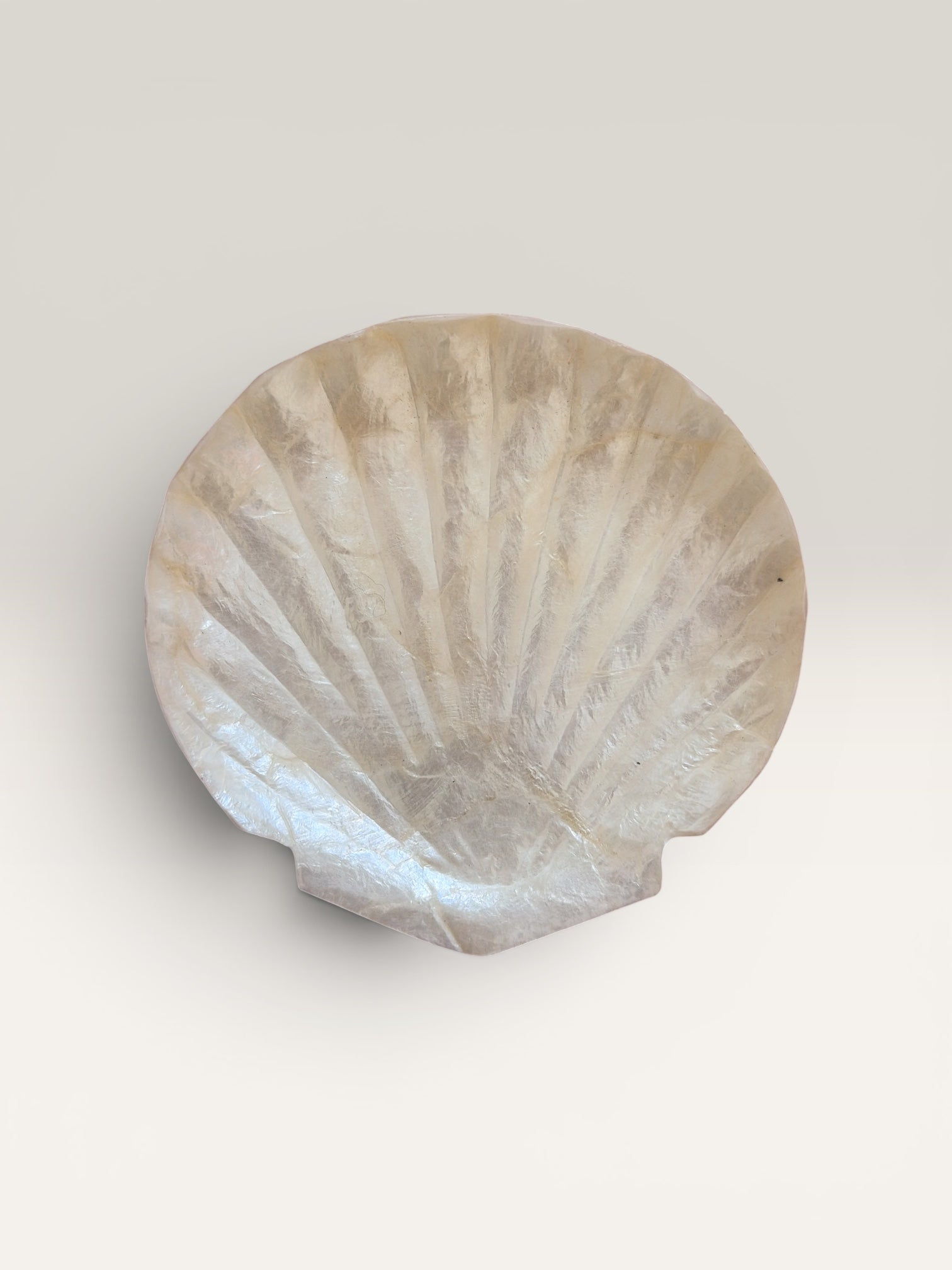 Concha dish